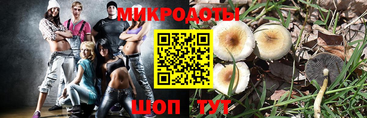 Галлюциногенные грибы Psilocybe  Вход с VPN  Галлюциногенные грибы ЛСД  Воркута 