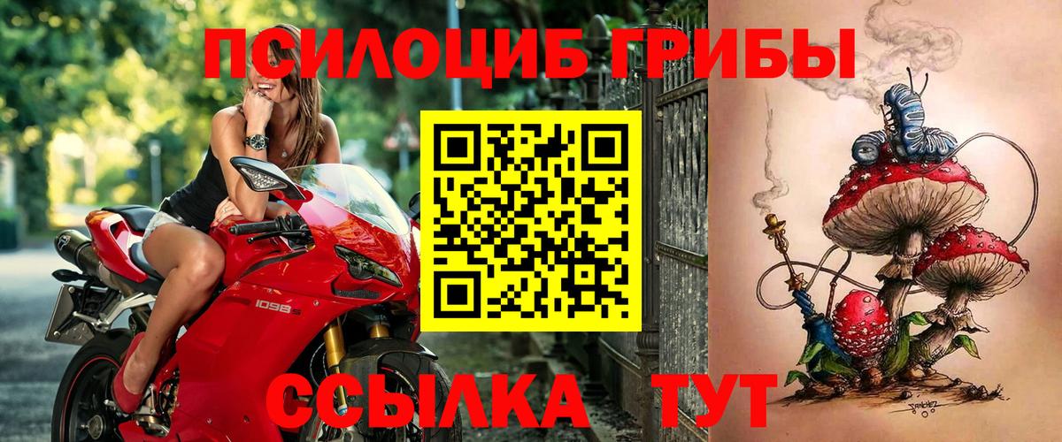Псилоцибиновые грибы мухоморы Воркута